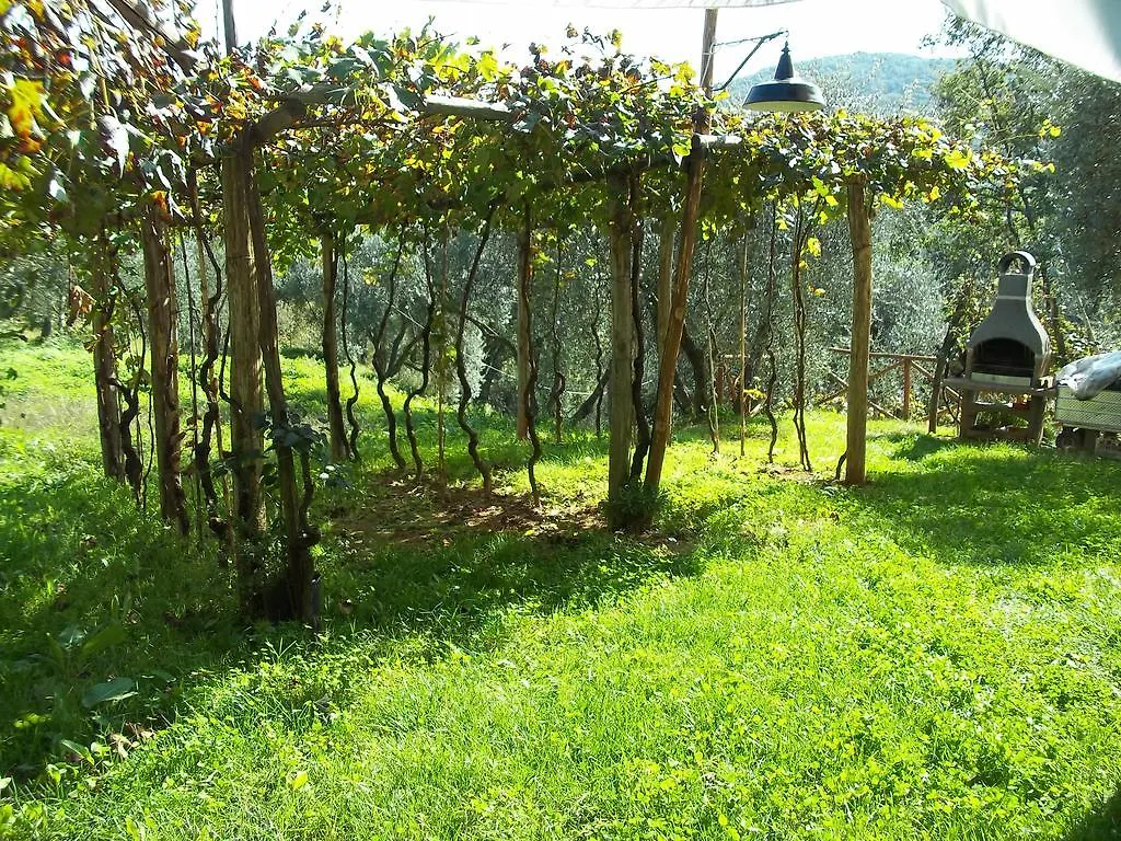 Appartement Caddelovi à Fibbialla