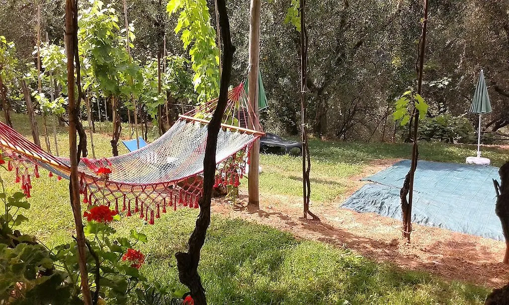 Appartement Caddelovi à Fibbialla